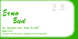 erno bud business card